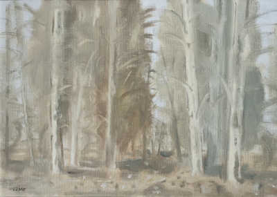 Untitled (Forest)