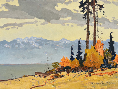Offskip Vancouver island