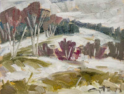 Summer Landscape