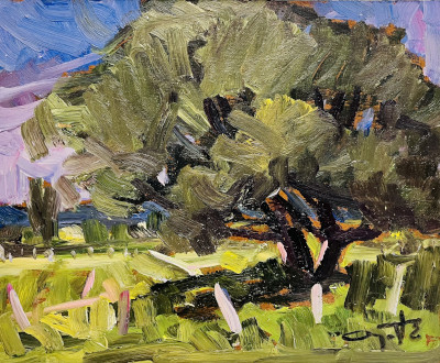 Summer Landscape