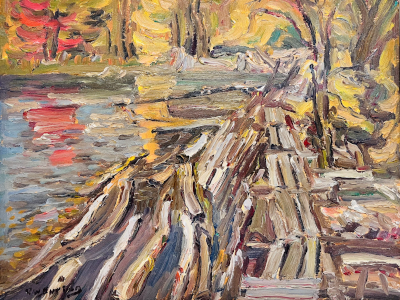 Logs and dam on the Glen Tay River